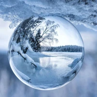 zhou kun's profile picture