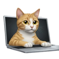 Zijian Zhao's profile picture