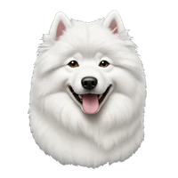 Vincent Z. Zheng's profile picture