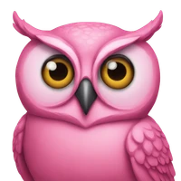 David Cahané's profile picture