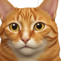 Shen Cong's profile picture