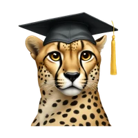 soufain's profile picture