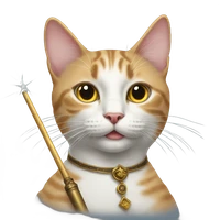 Xinyu GAO's profile picture