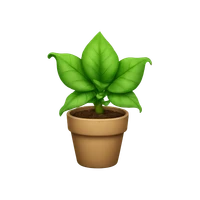 Niki Pham's profile picture