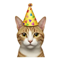 Traci S's profile picture