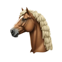 Laura Hensel's profile picture