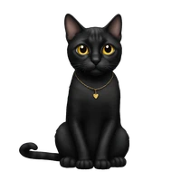 Abdumalik's profile picture