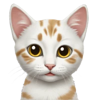 Jessie Fan's profile picture