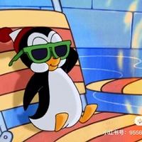 QinghaoYe's profile picture