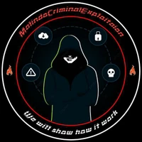 FliziNoReal1337's profile picture