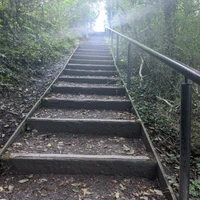 Akinyemi Arabambi's profile picture