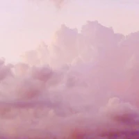 Minglei Zhang's profile picture